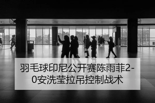 yu-mao-qiu-yin-ni-gong-kai-sai-chen-yu-fei-an-xi-ying-la-diao-kong-zhi-zhan-shu-3-377.jpg